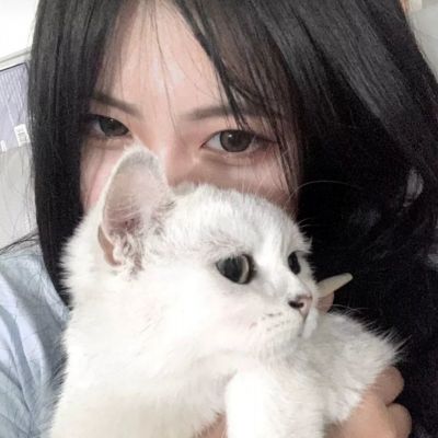 寻仙问情记伏妖官方版下载